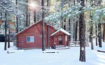 Catalina Creekside Cabin