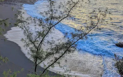 Kehena Mauka Nui LGBTQ Clothing Optional