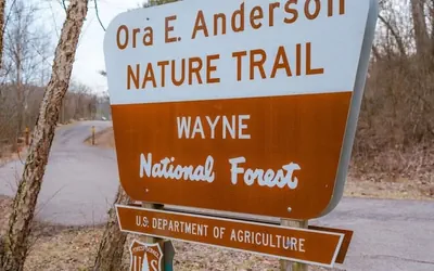 Sleeps 16! Luxury Cabin With Game Room & Hot Tub