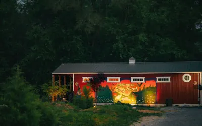 Ruby s Red Cabin Hot Tub Nature Horses Indy