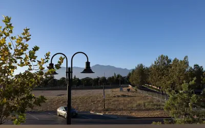 Near ONT Modern Designer Stay Bright Chic Spacious