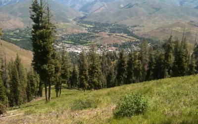 Classy, Contemporary, Cozy, Sun Valley con With Community & Resort Amenities