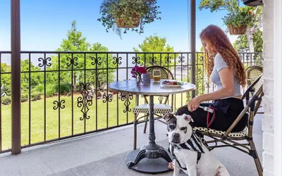 Jubilee Suites Boutique B&B