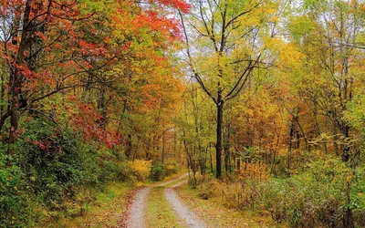 The 312 House A Boho Retreat Hocking Hills