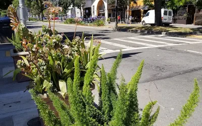 Sens Hotel & Vanne Bistro Berkeley