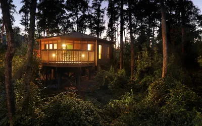 Disney's Saratoga Springs Resort & Spa