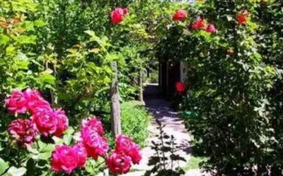 Casas de Suenos Old Town Historic Inn, an Ascend Collection Hotel