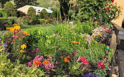 Glenwood Springs Cedar Lodge