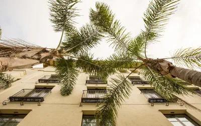 Kimpton Canary Hotel by IHG