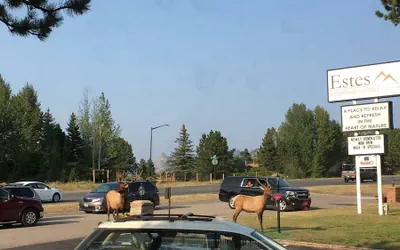 Estes Mountain Inn