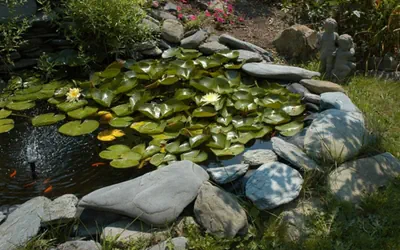 Gardenview Bed and Breakfast