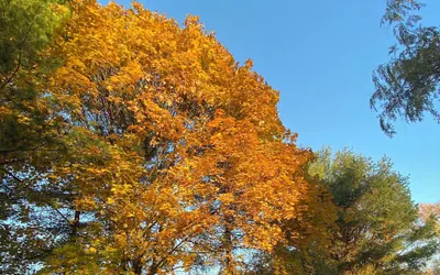 Apartment with free parking!