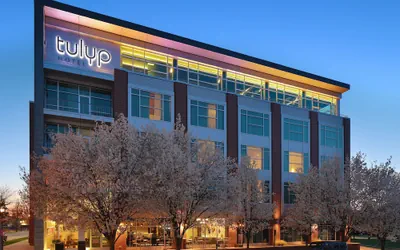 Tulyp, Tapestry Collection by Hilton