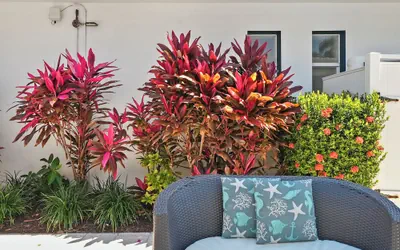 Hollywood Beach Suites