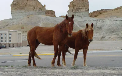 Hampton Inn & Suites Green River