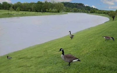 Econo Lodge Sevierville-Pigeon Forge on the River