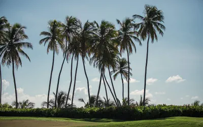 Wyndham Palmas Beach and Golf Boutique Resort