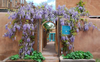 The Inn of The Five Graces