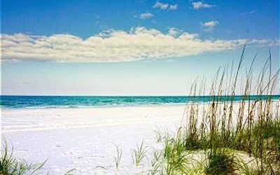 Pass a grille Gulf Way Beachfront 19