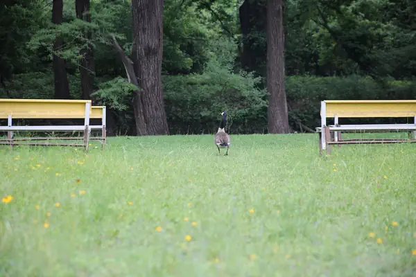 Photo 1 - River Oak Inn