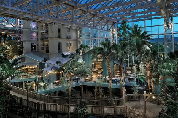 Photo 1 - Gaylord Palms Resort & Convention Center