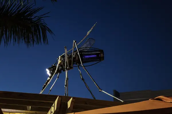 Photo 1 - TownePlace Suites By Marriott Boynton Beach