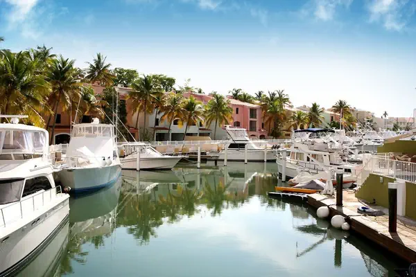 Photo 1 - Park Royal Homestay Club Cala Puerto Rico