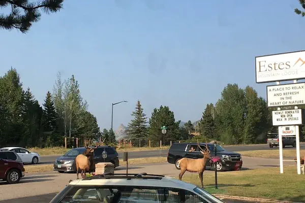 Photo 1 - Estes Mountain Inn