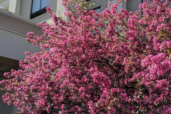 Photo 1 - Hampton Inn & Suites Cincinnati-Union Centre