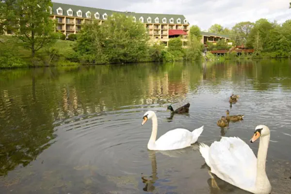 Photo 1 - The Chateau Resort