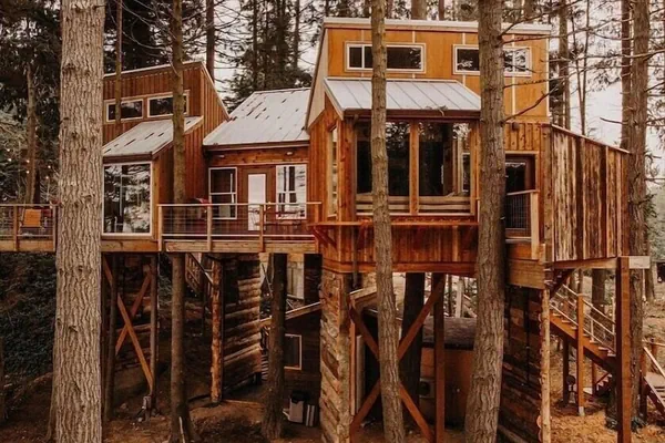 Photo 1 - Treehouse over the water - Eagle's Nest