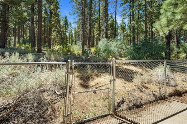 Photo 1 - Blue Skies- Modern Cabin